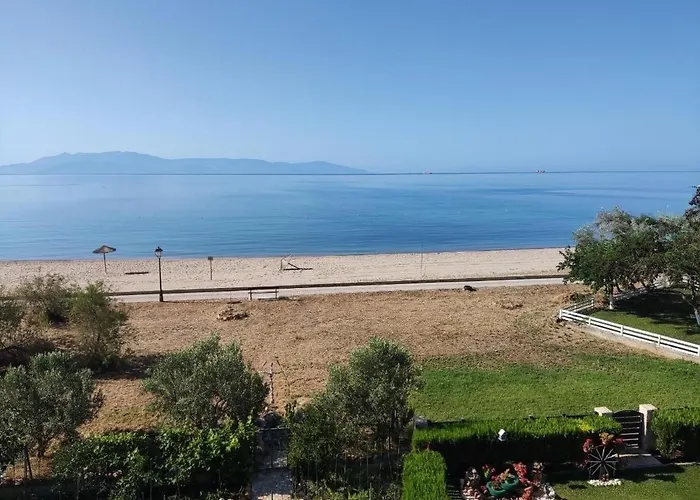 Blue View